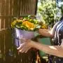 HOMENOTE Railing Planter, 3 Pack Hanging Flower Basket Outside Plant Stand Over Deck Rail Planters for Balcony - Easy Assembly Metal Black