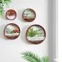 Ecosides Wall Mounted Planter Wall Hanging Planters Metal Plant Terrarium for Indoor Planter, Faux Flower Air Plant Holders Decorative Morden Circle Iron Vase for Succulent Wall Decor(8'' H, Red)