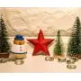 Wooden Stars for Crafts, Star Cutouts (2.9 x 2.9 x 0.5 In, 12 Pieces) Wooden Stars for Crafts, Star Cutouts (2.9 x 2.9 x 0.5 In, 12 Pieces)