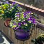 HOMENOTE Railing Planter, 3 Pack Hanging Flower Basket Outside Plant Stand Over Deck Rail Planters for Balcony - Easy Assembly Metal Black