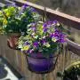 HOMENOTE Railing Planter, 3 Pack Hanging Flower Basket Outside Plant Stand Over Deck Rail Planters for Balcony - Easy Assembly Metal Black