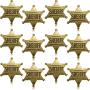 Metal Sheriff Badge Bronze Western Cowboy Badge Deputy Sheriffs Toy Badges for Halloween and Party Favors Costume Prop (12 Pieces)