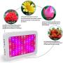 LED Grow Light 1000W, WY CN Upgraded Full Spectrum Dual chip Plant Grow Light with Daisy Chain Design for Hydroponic Indoor Plants, Seeding, Flowering Fruiting Grow lamp( 10W LEDs 100Pcs)
