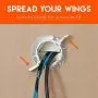 Echogear Off-White Cable Concealer for Wall Mounted TV - in-Wall Cord Management Kit Hides Low Voltage Wires - Includes 2 Pass Through Grommets, Locking Brackets, and Hole Saw Drill Attachment