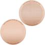 CAFE CONCETTO Filters for use in AeroPress Coffee Makers - Disc Fine & Superfine - Reusable - Premium Coated Stainless Steel (Rose Gold, Metal) - Brew Tips Included