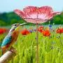MUMTOP Bird Baths for Outdoors Glass Bird Bath Bowl Outdoor Bird Feeder Flower Pattern with Metal Stake for Garden, Yard and Lawn Decor (Red) MUMTOP Bird Baths for Outdoors Glass Bird Bath Bowl Outdoor Bird Feeder Flower Pattern with Metal Stake for Garden, Yard and Lawn Decor (Red)