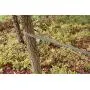 DC Cargo Mall 3/4'' x 40 SmartStake Tree Tie-Down Staking Strap Material | Loose Polyester Webbing to Guy and Stake Trees | DIY Landscaping - Custom Length TieDown Ribbon Straps