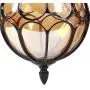IJ INJUICY Outdoor Hanging Lamp Lantern, Waterproof Pendant Lighting Fixture in Painted Metal with Glass Globe, Exterior Ceiling Light for Porch, Entryway,Restaurant 9.1'' (Black) IJ INJUICY Outdoor Hanging Lamp Lantern, Waterproof Pendant Lighting Fixture in Painted Metal with Glass Globe, Exterior Ceiling Light for Porch, Entryway,Restaurant 9.1'' (Black)