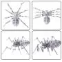 RuiyiF 3D Insect Metal Puzzles Assembly DIY Model Kits for Kids and Adult, Detachable 3D Jigsaw Puzzles for Kids Ages 8-12, Ornament for Desk (Spider) RuiyiF 3D Insect Metal Puzzles Assembly DIY Model Kits for Kids and Adult, Detachable 3D Jigsaw Puzzles for Kids Ages 8-12, Ornament for Desk (Spider)