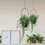 Metal Hanging Planters, Boho Modern Plant Hanger Minimalist Home Decor, Mid Century Flower Pot Plant Holder (Oval-Pack of 1) Metal Hanging Planters, Boho Modern Plant Hanger Minimalist Home Decor, Mid Century Flower Pot Plant Holder (Oval-Pack of 1)