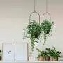 Metal Hanging Planters, Boho Modern Plant Hanger Minimalist Home Decor, Mid Century Flower Pot Plant Holder (Oval-Pack of 1)