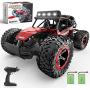 BEZGAR 17 Toy Grade 1:14 Scale Remote Control Car, 2WD High Speed 20 Km/h All Terrains Electric Toy Off Road RC Monster Vehicle Truck Crawler with Two Rechargeable Batteries for Boys Kids and Adults