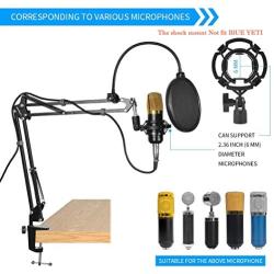 Microphone Stand for Blue Yeti and Blue Yeti Pro with Mic Windscreen and Double layered screen Pop Filter Heavy Duty Boom Scissor Arm Stands,Broadcasting and Recording