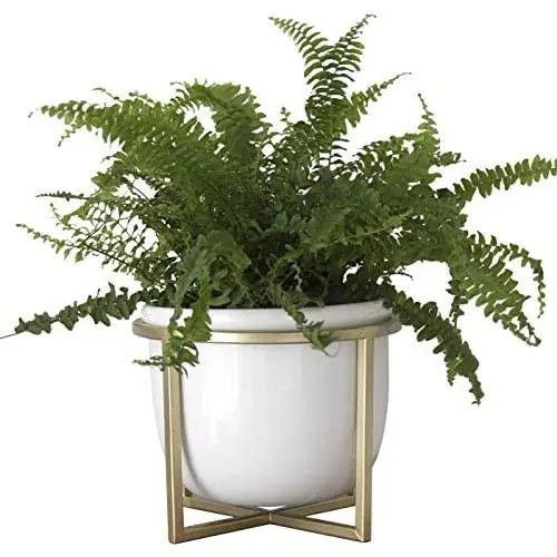 Ceramic Flower Plant Pot with Stand - 6.7 Inch White Indoor Planter Pot with Gold Metal Stand for Herbs Orchids Cacti Succulents