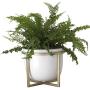 Ceramic Flower Plant Pot with Stand - 6.7 Inch White Indoor Planter Pot with Gold Metal Stand for Herbs Orchids Cacti Succulents