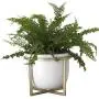 Ceramic Flower Plant Pot with Stand - 6.7 Inch White Indoor Planter Pot with Gold Metal Stand for Herbs Orchids Cacti Succulents