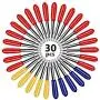 30 Pcs Replacement Blades for Explore Air 2 Blade for Maker Expression Vinyl Cutter Machines Needle for Vinyl 30 Degree 45 Degree 60 Degree Cutting Plotter Blades