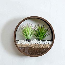 SHES HOME Morden Round Indoor Wall Succulent Hanging Planter, Metal Decorative Freestanding Mount Holder with Glass (Dark-Brown)