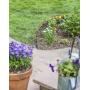 Coyote Landscape Products 5 Piece Steel Home Kit Raw Steel Edging with 15 Edge Pins, 4'' by 8, 18-Gauge Coyote Landscape Products 5 Piece Steel Home Kit Raw Steel Edging with 15 Edge Pins, 4'' by 8, 18-Gauge