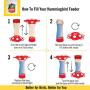 More Birds Glory Hummingbird Feeder, Glass Bottle, 5 Feeding Ports and 14-Ounce Nectar Capacity