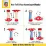 More Birds Jersey Hummingbird Feeder, Glass Milk Bottle, 5 Feeding Ports and 18-Ounce Nectar Capacity More Birds Jersey Hummingbird Feeder, Glass Milk Bottle, 5 Feeding Ports and 18-Ounce Nectar Capacity