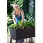 Keter Easy 31.7 Gallon Raised Garden Bed with Self Watering Planter Box and Drainage Plug-Perfect for Growing Fresh Vegetables, Flowers and Herbs, Graphite