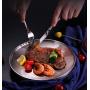 Qualizon 18/8 Stainless Steel Double Layer Round Dinner Plate Good Quality Heat Isolation Dish Set of 2-piece (9Inch)