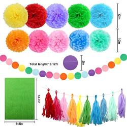 Happy Birthday Decorations, Rainbow Birthday Party Decorations, Birthday Paper Tissue Pom Pom, Tassel Garland