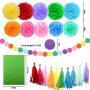 Happy Birthday Decorations, Rainbow Birthday Party Decorations, Birthday Paper Tissue Pom Pom, Tassel Garland