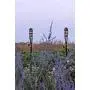 Bamboo Torches; Decorative Torches; Fiberglass Wicks; Extra-Large (16oz) Metal Canisters for Longer Lasting Burn; Stands 59'' Tall; Multiple Styles Available (Mocha and Tan, 6 Pack) Bamboo Torches; Decorative Torches; Fiberglass Wicks; Extra-Large (16oz) Metal Canisters for Longer Lasting Burn; Stands 59'' Tall; Multiple Styles Available (Mocha and Tan, 6 Pack)