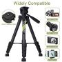 Endurax 67'' Video Camera Tripod for Nikon Canon, DSLR Cameras Stand Tall Tripods Lightweight Aluminum with Universal Phone Mount and Carry Bag