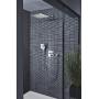 Grohe Rotaflex Metallic Hose,Starlight Chrome
