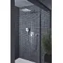 Grohe Rotaflex Metallic Hose,Starlight Chrome Grohe Rotaflex Metallic Hose,Starlight Chrome