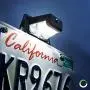 LED License Plate Light for Trailer [Bracket Mount] [DOT FMVSS 108] [SAE L] [Black-Finish] [Waterproof] [12V DC] License Tag Lights for UTV ATV Trailer Truck RV Boat