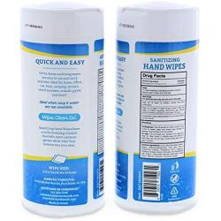 Germ-Away Antibacterial Hand Wipes, Kills 99.9% Germs on Skin, 80 Wipe Canister