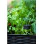 Keter Easy 31.7 Gallon Raised Garden Bed with Self Watering Planter Box and Drainage Plug-Perfect for Growing Fresh Vegetables, Flowers and Herbs, Graphite