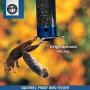 Droll Yankees YCPW-180 Yankee Whipper Squirrel-Proof Bird Feeder, 17.25'', Blue