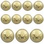 11 Pieces Metal Blazer Button Set - Eagle Badge - for Blazer, Suits, Sport Coat, Uniform, Jacket (Gold)