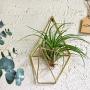 NCYP Rustic Wall Mount Hanging Irregular Pentagon Geometric Metal Tillandsia Air Plants Holder Rack Black Wall Accent Decor (Gold) No Plants