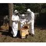 Beekeeping Suit and Bee Family Stickers - XL - YKK Metal Zippers - Men & Women - Total Protection - Self-Supporting Fencing Veil for Beekeepers - Easily Take On & Off - 10 Pockets Beekeeping Suit and Bee Family Stickers - XL - YKK Metal Zippers - Men & Women - Total Protection - Self-Supporting Fencing Veil for Beekeepers - Easily Take On & Off - 10 Pockets