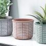 DOMDO Cement Planter Pot - 5.5 Inch Indoor Concrete Planters Bonsai Container with Drainage Hole for Home Decor, Iron-Imitation Patterned, Terracotta