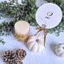EXQUISS 50 Pcs Stand Card Holders Place Cards Holder Photo Picture Note Clip Holders Memo Holder Note Clamp Clay Cake Accessories 6'' for Wedding Party Table Number Name Sign (50)