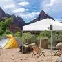 E-Z UP Ambassador Instant Shelter Canopy, 10 x 10, Roller Bag and 4 Piece Spike Set, Steel Gray