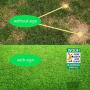 WaaHome Pack of 2 Double Sided Woof Please Clean Up After Your Pet Yard Signs with Metal Wire H-Stakes, 8''X12'' Funny No Poop Pee Dog Yard Sign Lawn Sign
