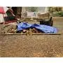 B-Air Grizzly Tarps - Large Multi-Purpose, Waterproof, Heavy Duty Tarp Poly Cover - 5 Mil Thick (Blue - 8 x 10 Feet)