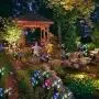 Outdoor Solar Garden Stake Lights - Doingart 2 Pack Solar Powered Lights with 8 Lily Flower, Multi-color Changing LED Solar Decorative Lights for Garden, Patio, Backyard (Purple and White)