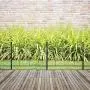 Gray Bunny Decorative Garden Fence for Landscaping, 24 in x 10 ft, 5 Black Panels, Rust Proof Metal Movable Wire Border Picket Folding Decor Garden Edging Fences for Flower Bed & Pet Barrier
