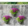 TQVAI 4 inch Flower Pot Holder Ring Wall Mounted 6 Pack Metal Planter Hooks Hangers Wall Bracket, Black