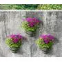 TQVAI 4 inch Flower Pot Holder Ring Wall Mounted 6 Pack Metal Planter Hooks Hangers Wall Bracket, Black TQVAI 4 inch Flower Pot Holder Ring Wall Mounted 6 Pack Metal Planter Hooks Hangers Wall Bracket, Black