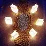 lightsfever-50pcs Luminaries with Lights luminaria Light up LED Luminary Bags White Paper Bags for Diwali Decorations, Wedding Decor(Warm White) lightsfever-50pcs Luminaries with Lights luminaria Light up LED Luminary Bags White Paper Bags for Diwali Decorations, Wedding Decor(Warm White)